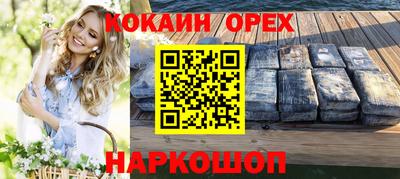 крисы Пенза