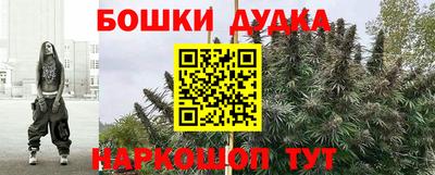 прущие грибы Партизанск