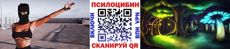 kraken вход  купить закладку  Дальнереченск  Псилоцибиновые грибы мицелий 