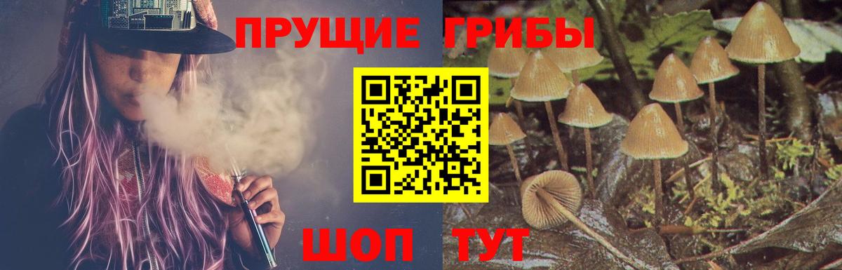 сколько стоит  Галлюциногенные грибы GOLDEN TEACHER  Вход с VPN  Дальнереченск 